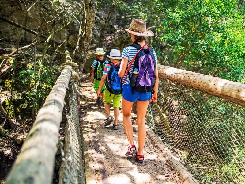 Jungle Travel impulsa el turismo a Misiones con paquetes turísticos integrales