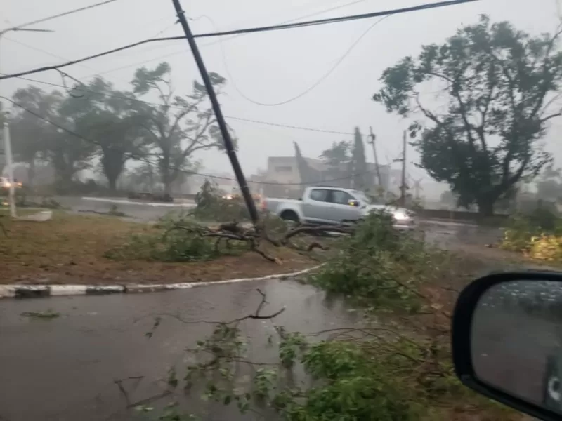 Bahía Blanca y Tucumán bajo el agua: la catástrofe recurrente que el país no logra evitar